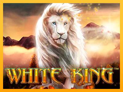 White King macchina da gioco per soldi