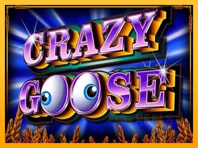 Crazy Goose macchina da gioco per soldi