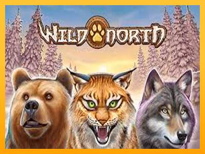 Wild North macchina da gioco per soldi