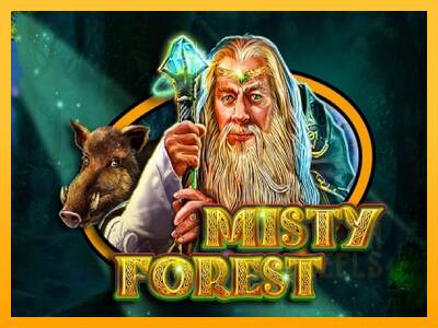 Misty Forest macchina da gioco per soldi