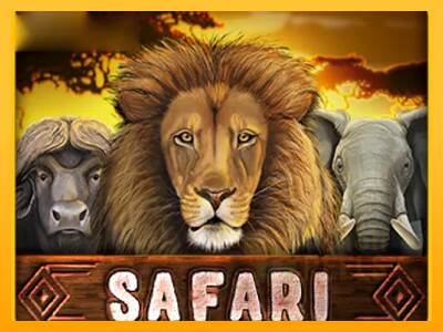 Safari macchina da gioco per soldi