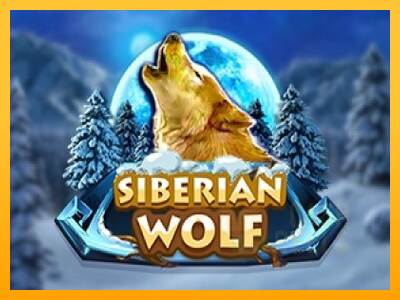 Siberian Wolf macchina da gioco per soldi