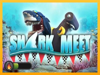 Shark meet macchina da gioco per soldi