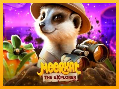 Meerkat macchina da gioco per soldi