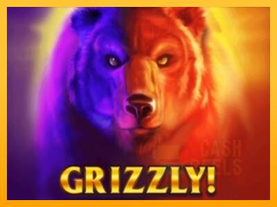 Grizzly macchina da gioco per soldi