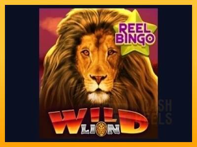 Wild Lion with Reel Bingo macchina da gioco per soldi