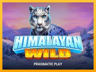 Himalayan Wild macchina da gioco per soldi