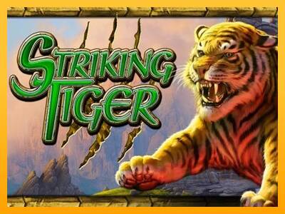 Striking Tiger macchina da gioco per soldi