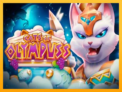 Cats of Olympuss macchina da gioco per soldi