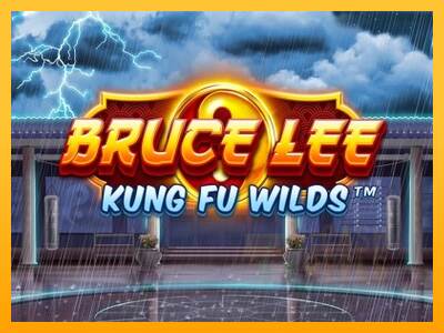 Bruce Lee Kung Fu Wilds macchina da gioco per soldi