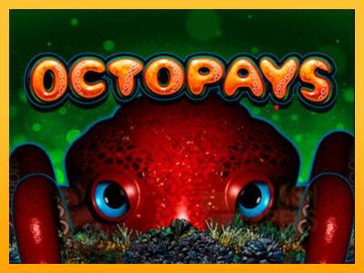 Octopays macchina da gioco per soldi