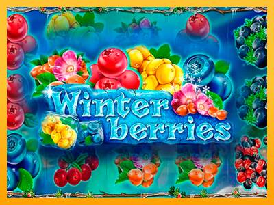 Winterberries macchina da gioco per soldi