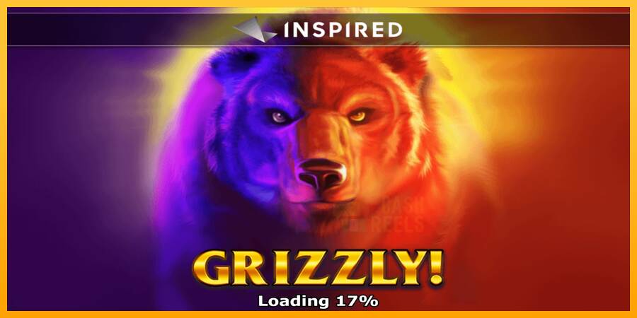 Grizzly macchina da gioco per soldi, immagine 1