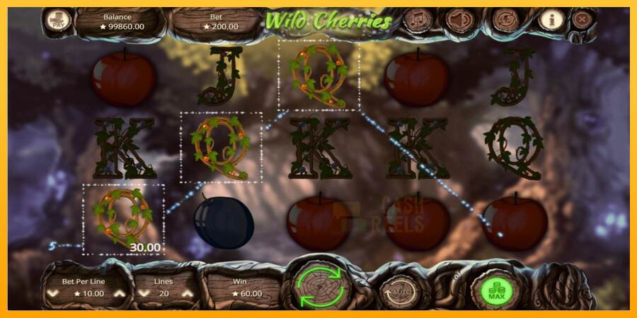 Wild Cherries macchina da gioco per soldi, immagine 3