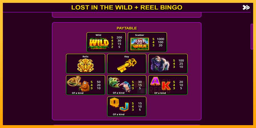 Lost in the Wild with Reel Bingo macchina da gioco per soldi, immagine 6