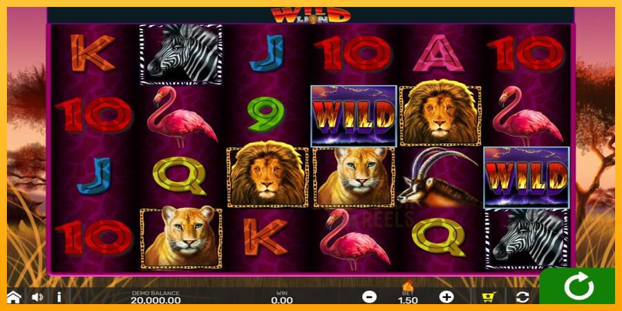 Wild Lion with Reel Bingo macchina da gioco per soldi, immagine 1