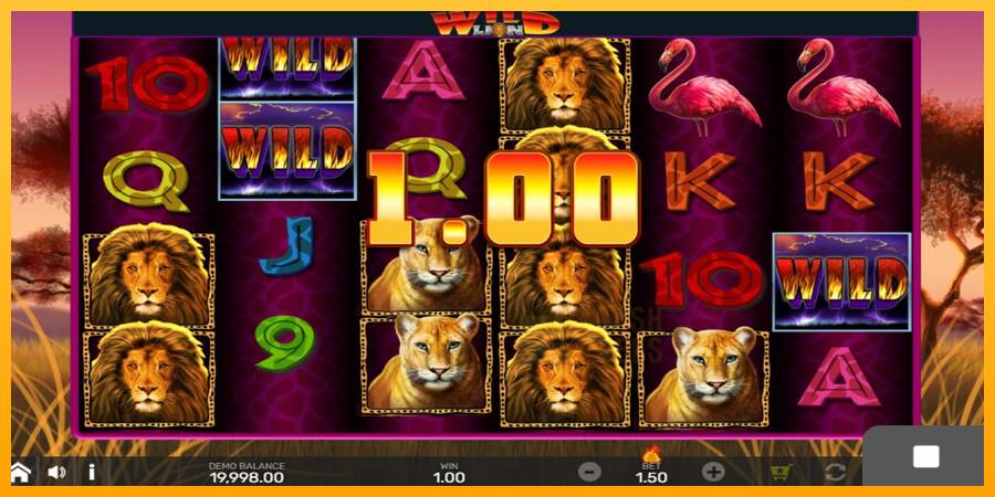 Wild Lion with Reel Bingo macchina da gioco per soldi, immagine 2