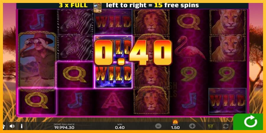 Wild Lion with Reel Bingo macchina da gioco per soldi, immagine 3