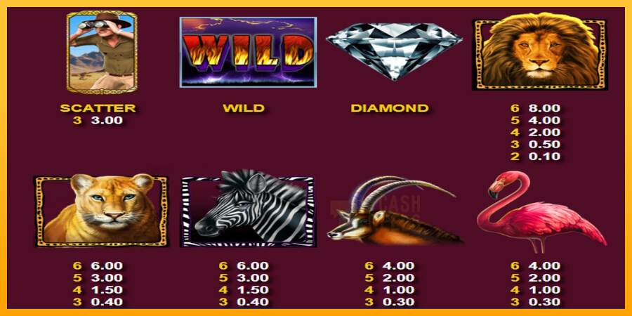 Wild Lion with Reel Bingo macchina da gioco per soldi, immagine 4