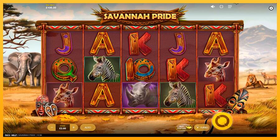 Savannah Pride macchina da gioco per soldi, immagine 1