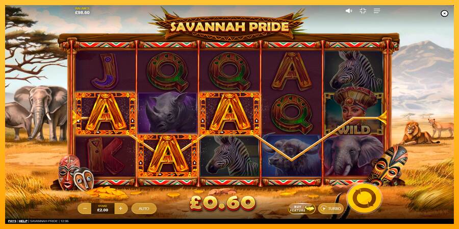 Savannah Pride macchina da gioco per soldi, immagine 2