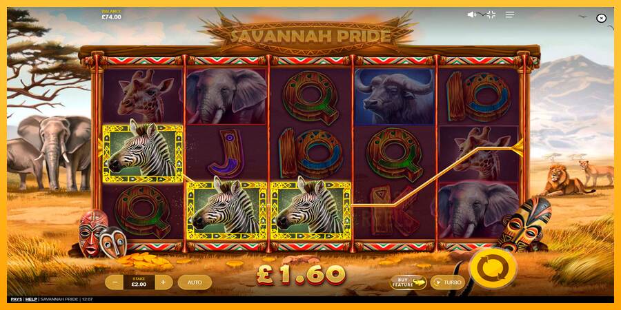 Savannah Pride macchina da gioco per soldi, immagine 5