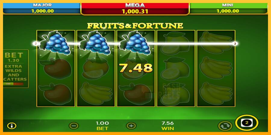 Fruits & Fortune macchina da gioco per soldi, immagine 5