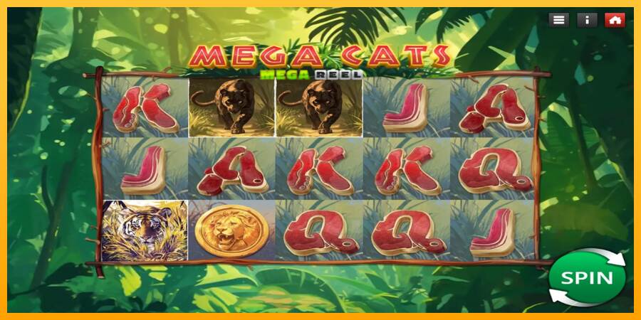 Mega Cats Mega Reel macchina da gioco per soldi, immagine 2