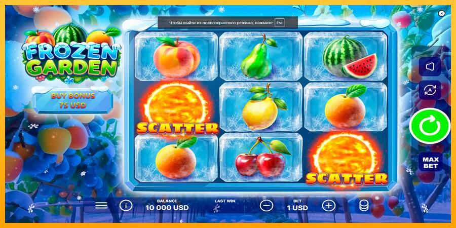 Frozen Garden macchina da gioco per soldi, immagine 1