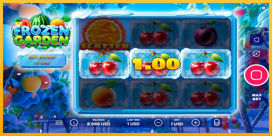 Frozen Garden macchina da gioco per soldi, immagine 3