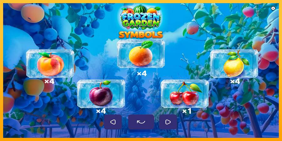 Frozen Garden macchina da gioco per soldi, immagine 6