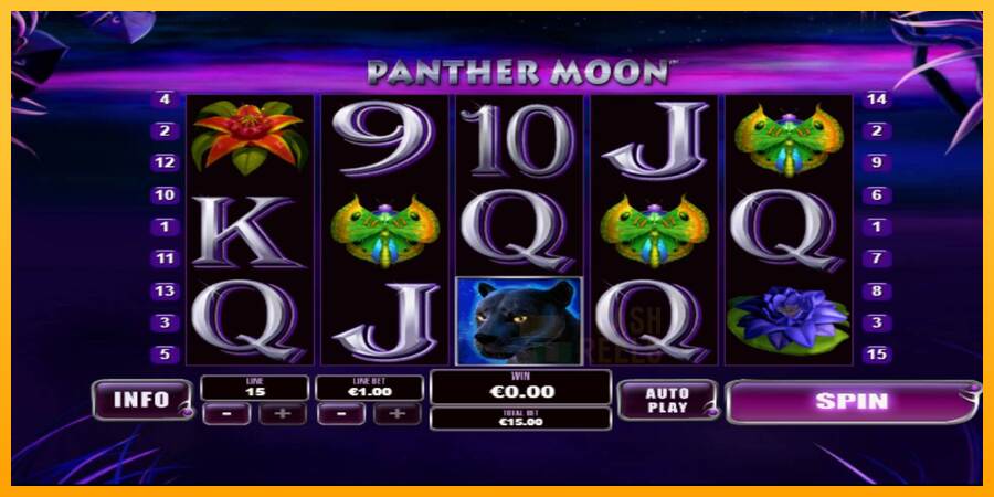 Panther Moon macchina da gioco per soldi, immagine 1