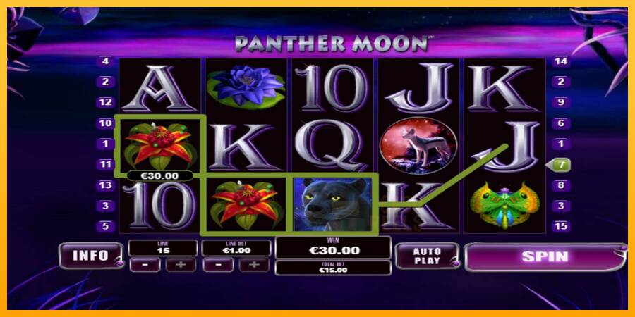 Panther Moon macchina da gioco per soldi, immagine 2