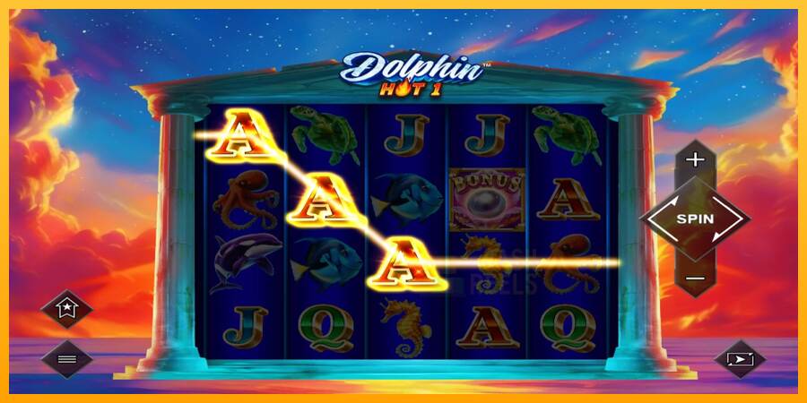 Dolphin Hot 1 macchina da gioco per soldi, immagine 3