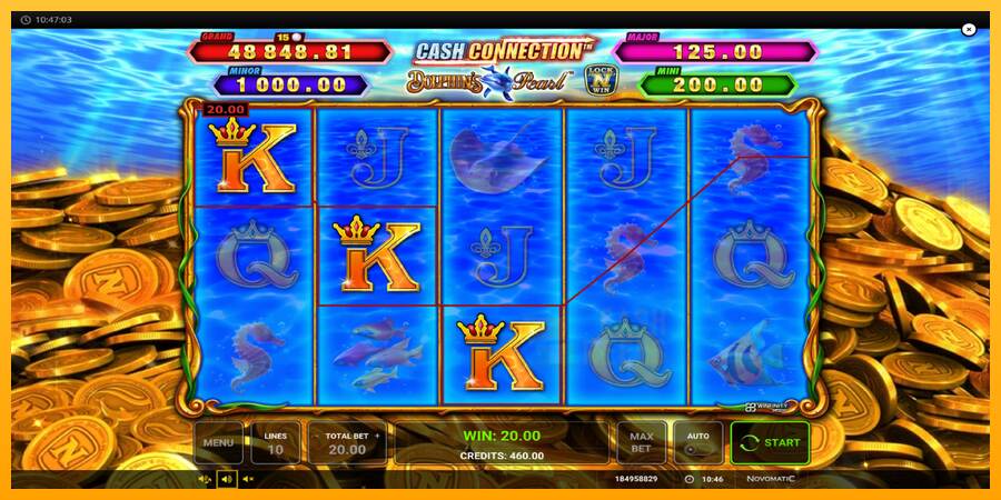 Cash Connection Dolphins Pearl macchina da gioco per soldi, immagine 3