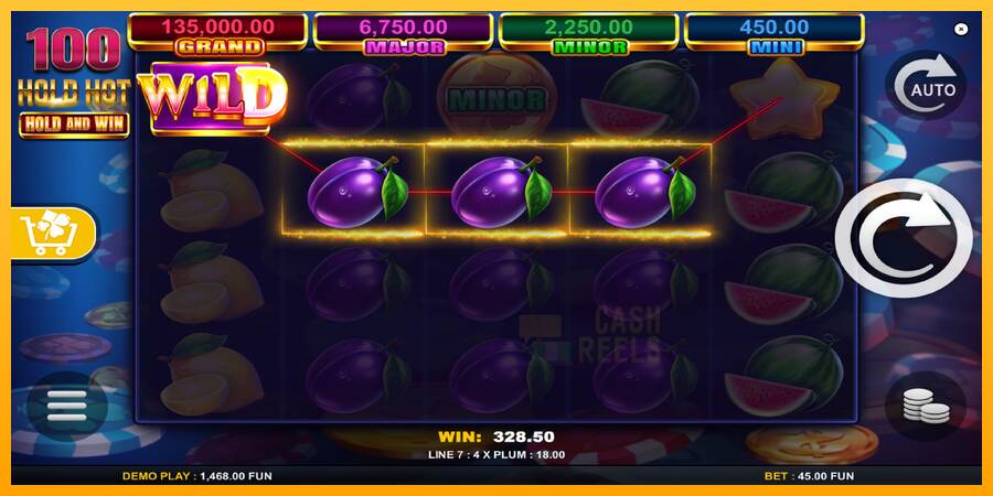 100 Hold Hot Hold and Win macchina da gioco per soldi, immagine 4