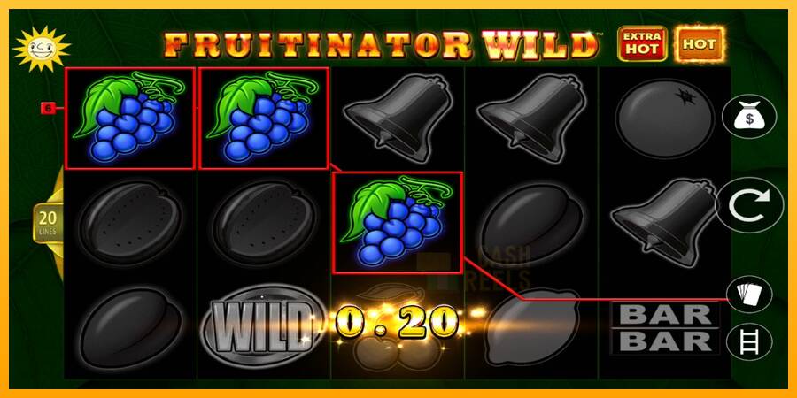 Fruitinator Wild macchina da gioco per soldi, immagine 3