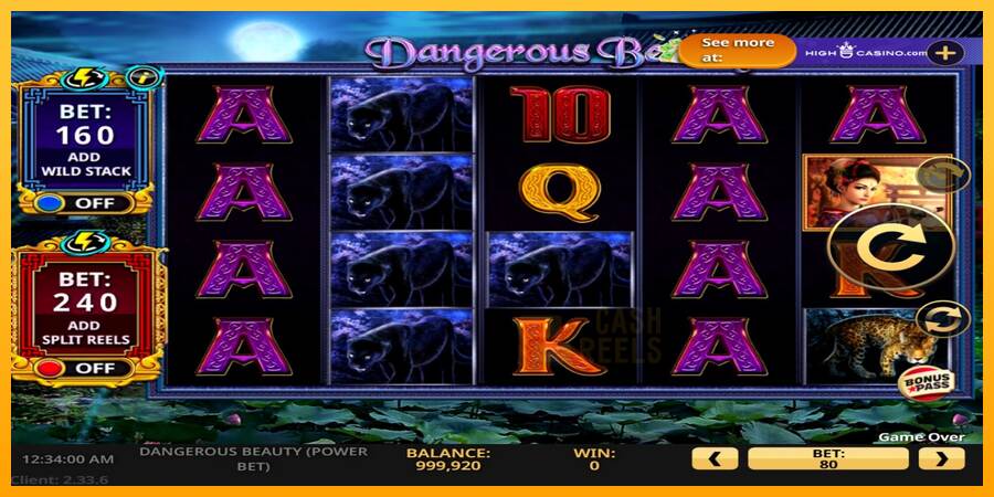 Dangerous Beauty Power Bet macchina da gioco per soldi, immagine 2