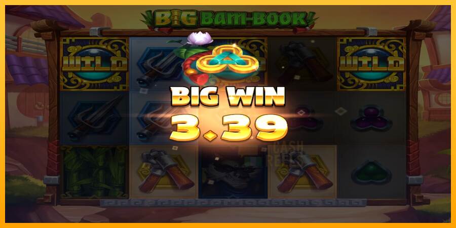 Big Bam-Book macchina da gioco per soldi, immagine 3