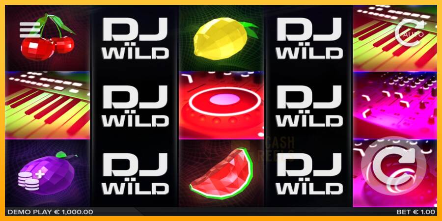 DJ Wild macchina da gioco per soldi, immagine 1