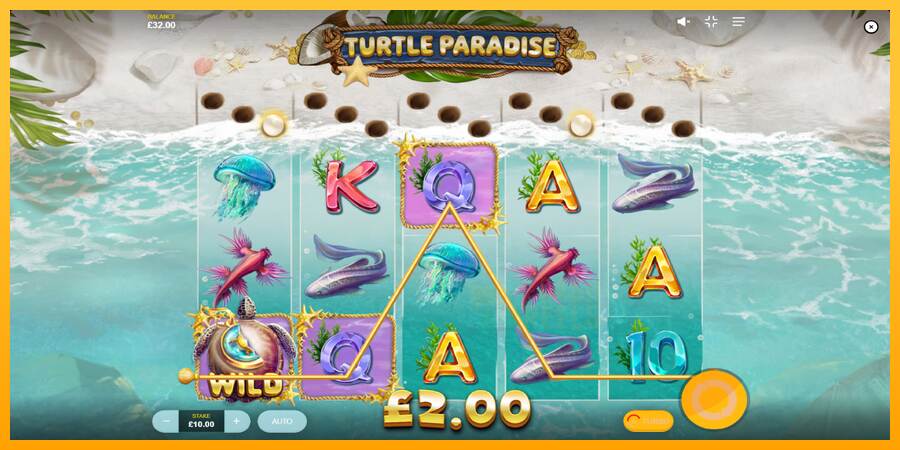 Turtle Paradise macchina da gioco per soldi, immagine 3