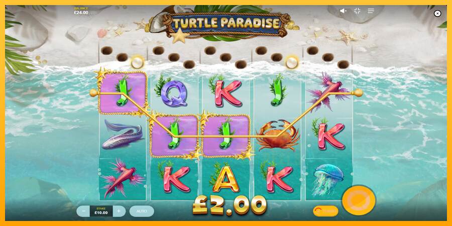 Turtle Paradise macchina da gioco per soldi, immagine 4