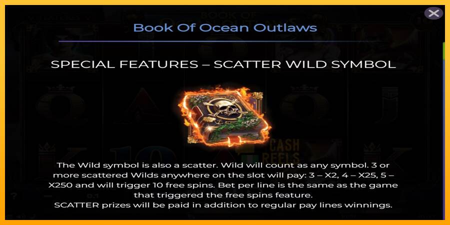 Book of Ocean Outlaws macchina da gioco per soldi, immagine 4