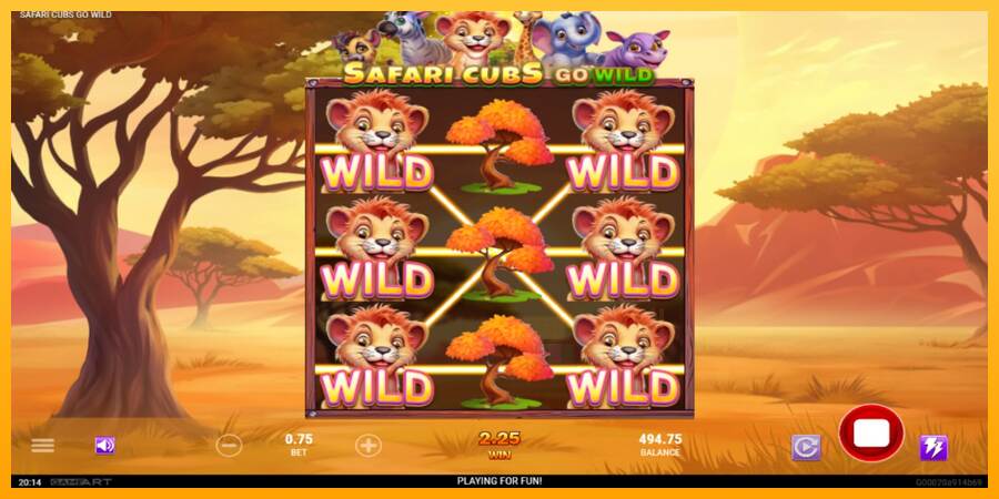 Safari Cubs Go Wild macchina da gioco per soldi, immagine 3