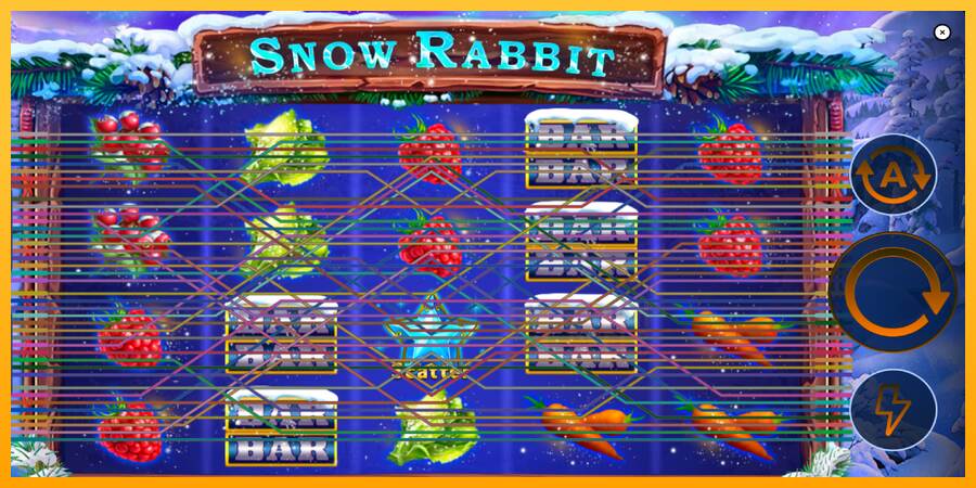 Snow Rabbit macchina da gioco per soldi, immagine 2