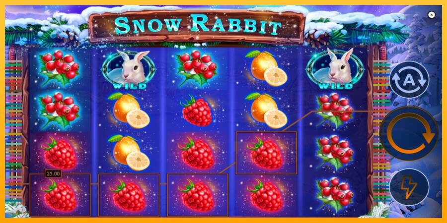 Snow Rabbit macchina da gioco per soldi, immagine 4