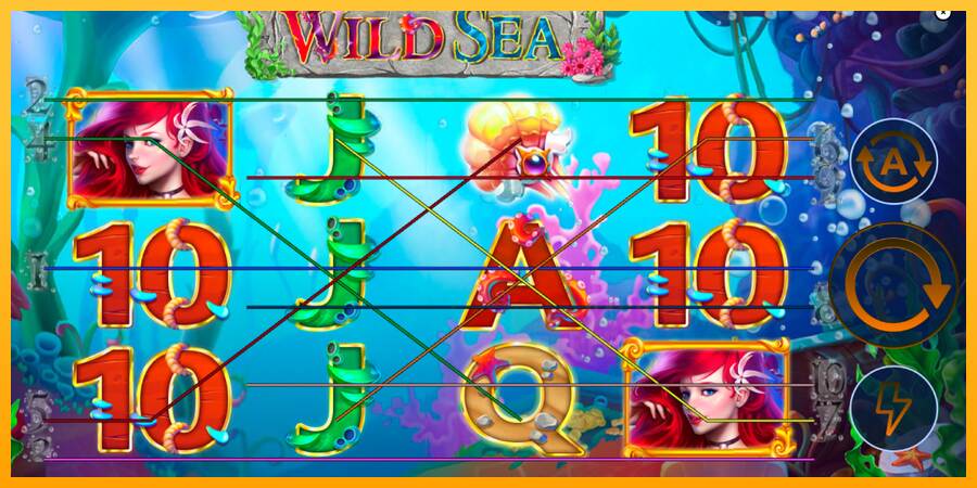 Wild Sea macchina da gioco per soldi, immagine 1