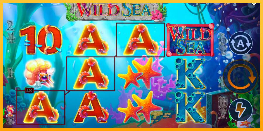 Wild Sea macchina da gioco per soldi, immagine 2