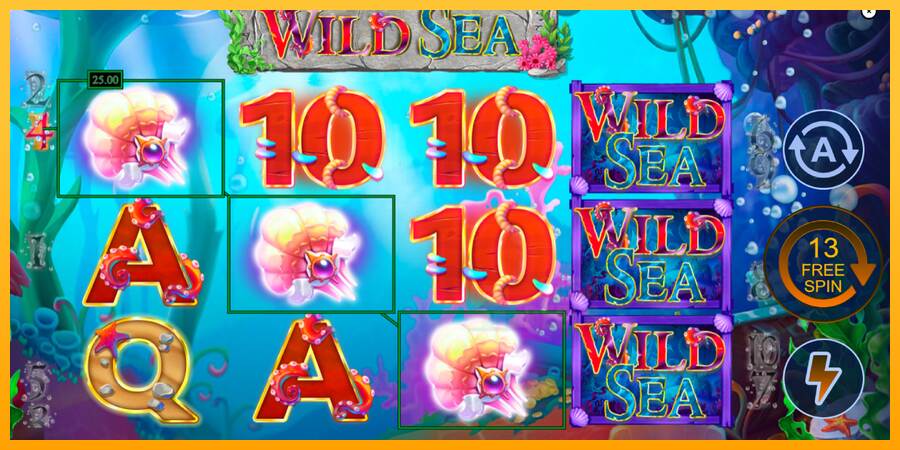 Wild Sea macchina da gioco per soldi, immagine 3