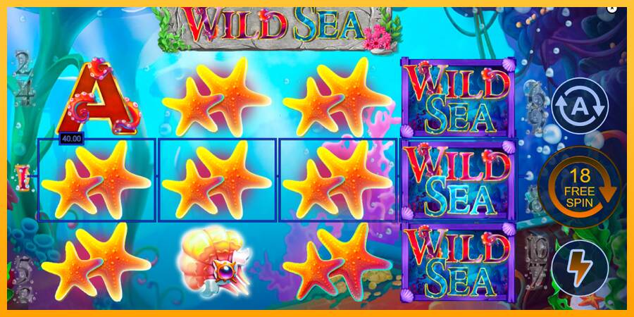 Wild Sea macchina da gioco per soldi, immagine 4